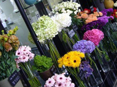 【フラワー】florist 花圃