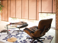 【インテリア】キョーヒメ